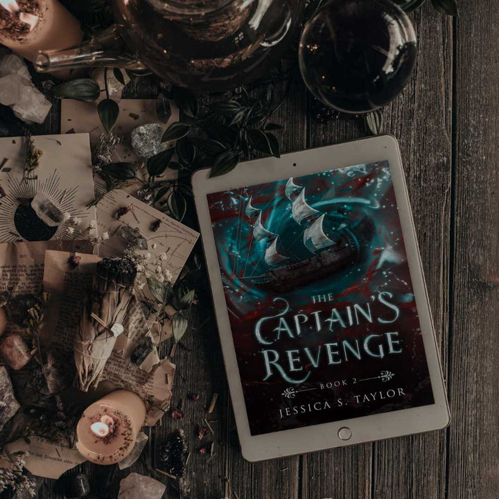 The Captain's Revenge eBook