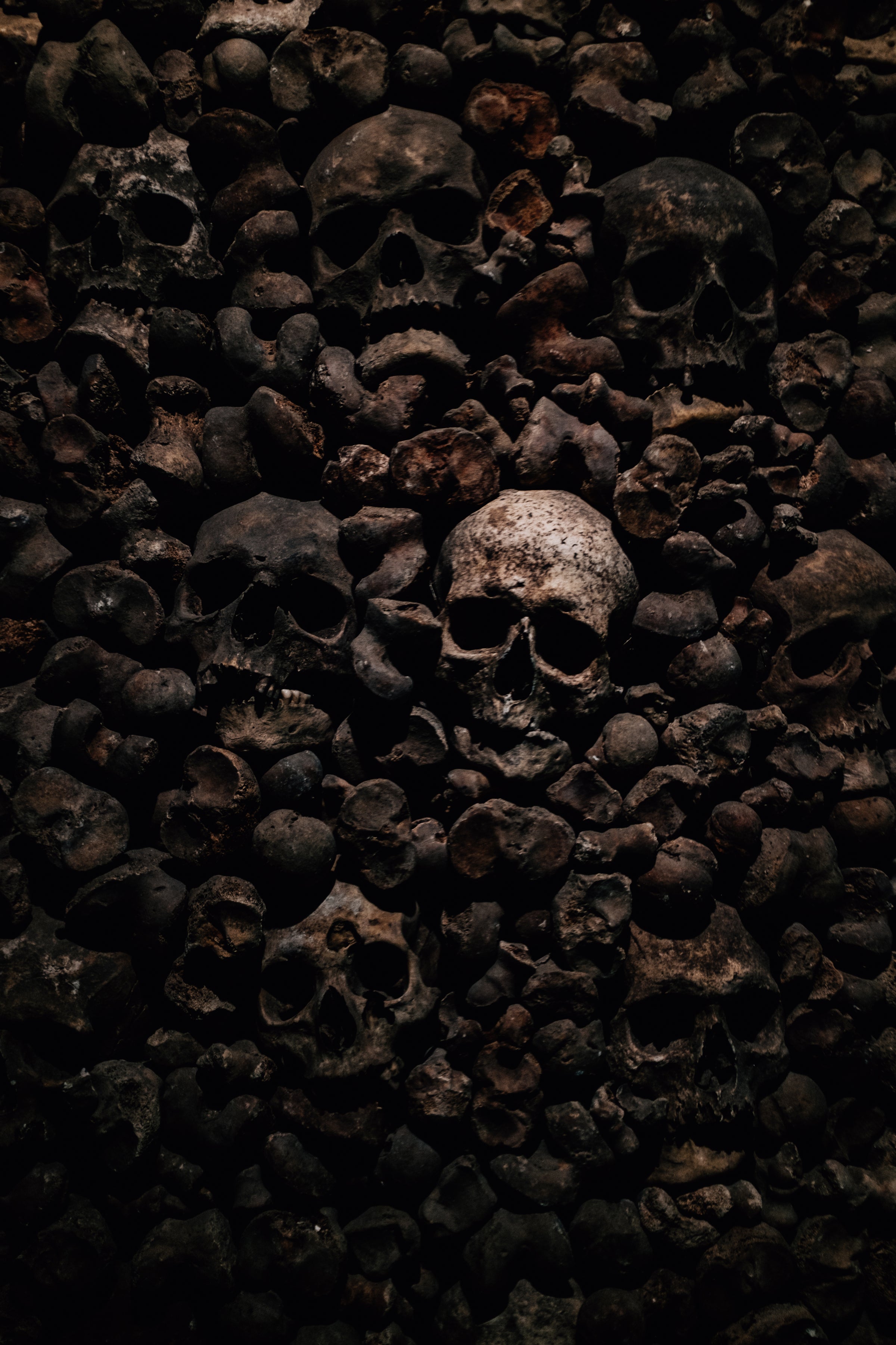 skulls-and-bones-in-darkness